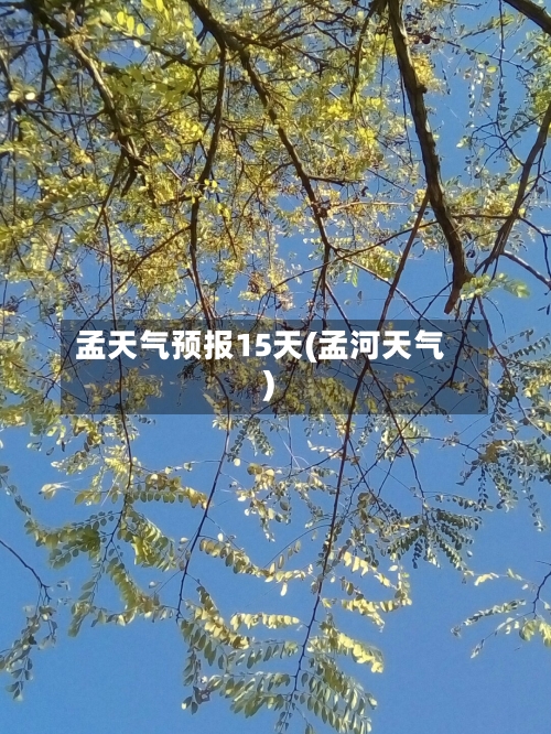 孟天气预报15天(孟河天气)