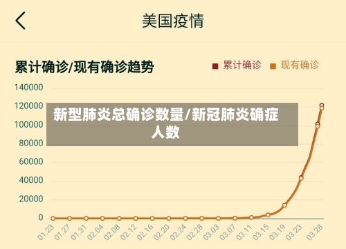 新型肺炎总确诊数量/新冠肺炎确症人数