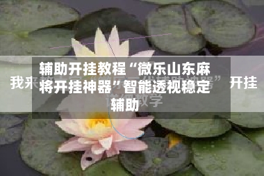 辅助开挂教程“微乐山东麻将开挂神器”智能透视稳定辅助