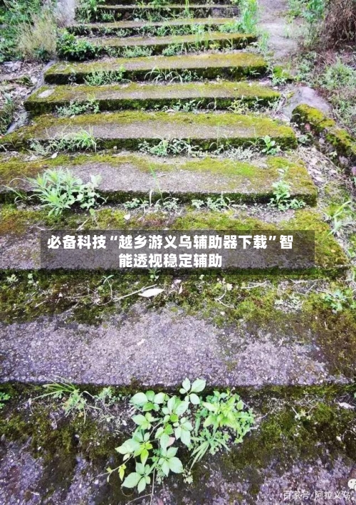 必备科技“越乡游义乌辅助器下载”智能透视稳定辅助