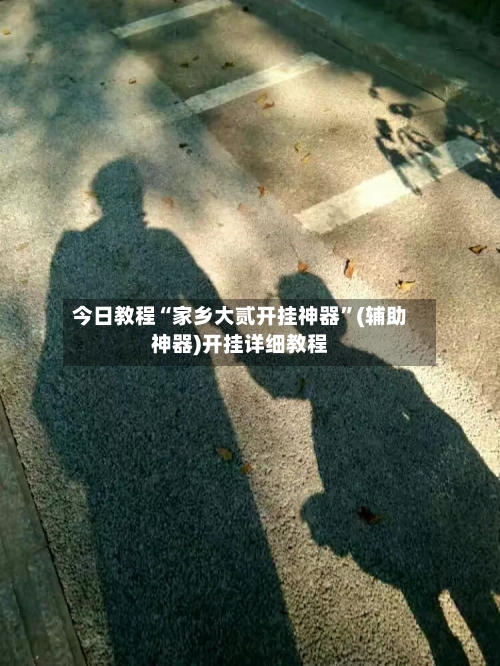 今日教程“家乡大贰开挂神器”(辅助神器)开挂详细教程