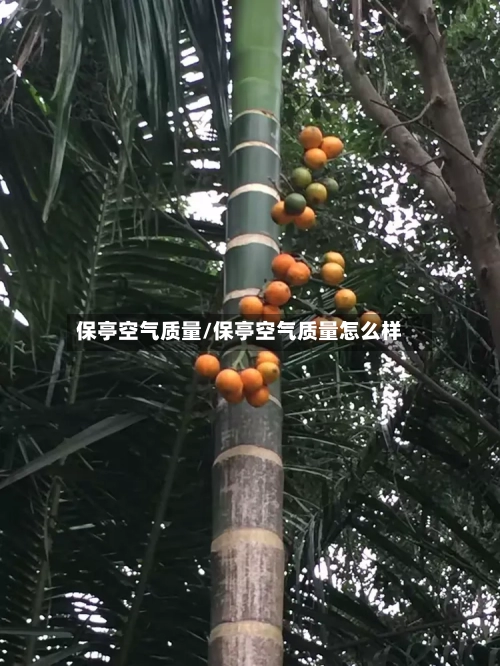 保亭空气质量/保亭空气质量怎么样