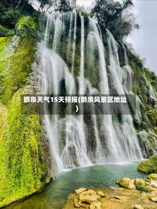 鹅泉天气15天预报(鹅泉风景区地址)