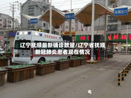 辽宁抚顺最新确诊数量/辽宁省抚顺新冠肺炎患者现在情况