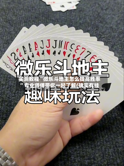 实测教程“微乐斗地主怎么提高胜率”专业师傅带你一起了解(确实有挂