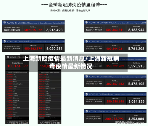 上海新冠疫情最新消息/上海新冠病毒疫情最新情况