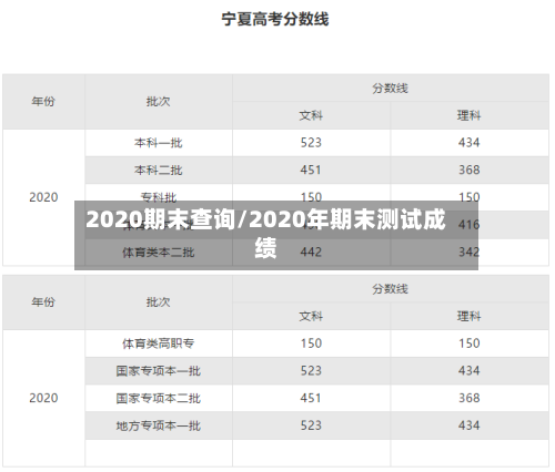 2020期末查询/2020年期末测试成绩