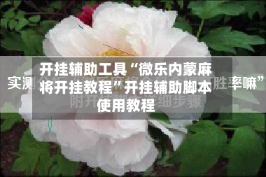 开挂辅助工具“微乐内蒙麻将开挂教程”开挂辅助脚本使用教程