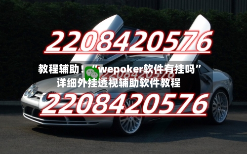 教程辅助！“wepoker软件有挂吗”详细外挂透视辅助软件教程