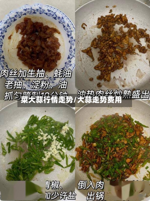 菜大蒜行情走势/大蒜走势费用