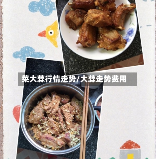 菜大蒜行情走势/大蒜走势费用