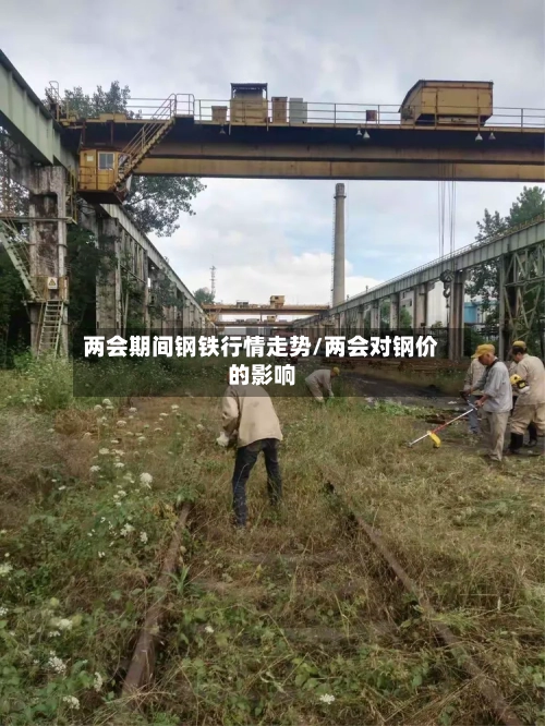 两会期间钢铁行情走势/两会对钢价的影响