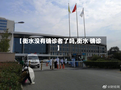 【衡水没有确诊者了吗,衡水 确诊】