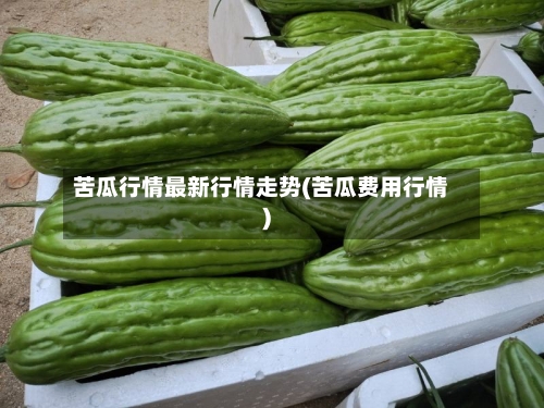 苦瓜行情最新行情走势(苦瓜费用行情)