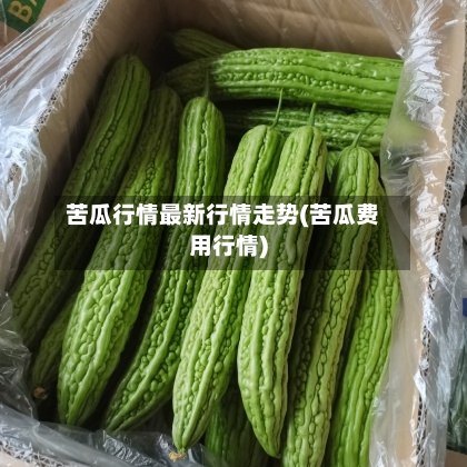 苦瓜行情最新行情走势(苦瓜费用行情)