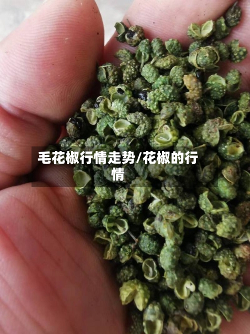毛花椒行情走势/花椒的行情