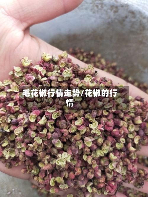 毛花椒行情走势/花椒的行情