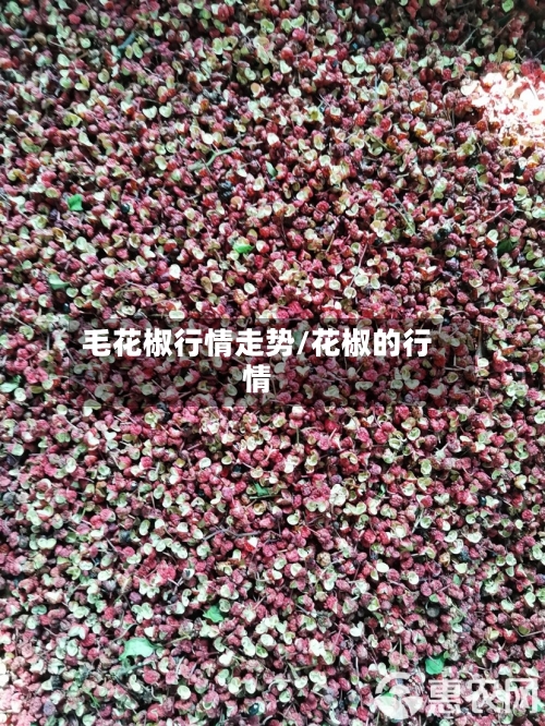 毛花椒行情走势/花椒的行情