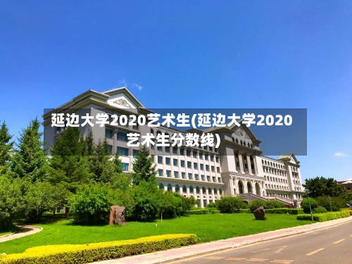 延边大学2020艺术生(延边大学2020艺术生分数线)