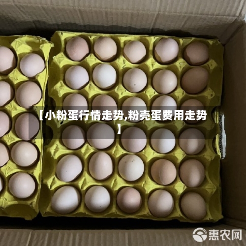 【小粉蛋行情走势,粉壳蛋费用走势】