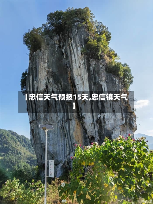 【忠信天气预报15天,忠信镇天气】