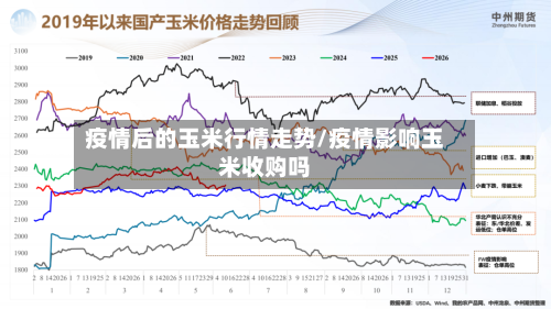 疫情后的玉米行情走势/疫情影响玉米收购吗