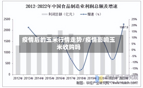 疫情后的玉米行情走势/疫情影响玉米收购吗