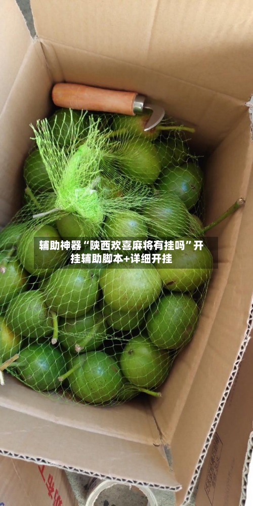 辅助神器“陕西欢喜麻将有挂吗”开挂辅助脚本+详细开挂
