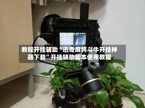 教程开挂辅助“迅奇麻将斗牛开挂神器下载”开挂辅助脚本使用教程