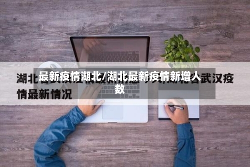 最新疫情湖北/湖北最新疫情新增人数