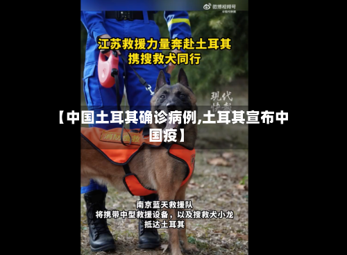 【中国土耳其确诊病例,土耳其宣布中国疫】