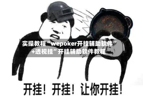 实操教程“wepoker开挂辅助软件”+透视挂”开挂辅助软件教程