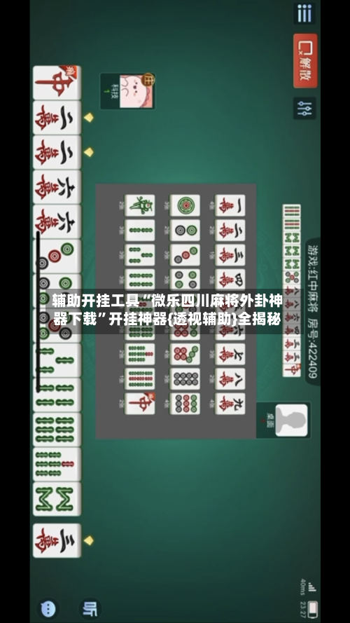 辅助开挂工具“微乐四川麻将外卦神器下载”开挂神器{透视辅助}全揭秘