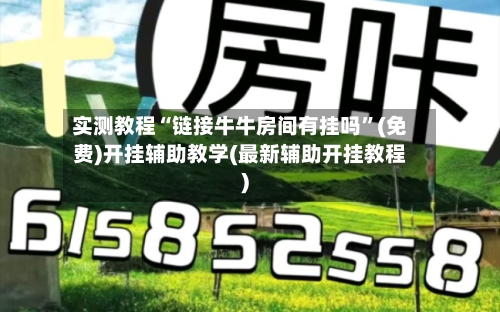 实测教程“链接牛牛房间有挂吗”(免费)开挂辅助教学(最新辅助开挂教程)