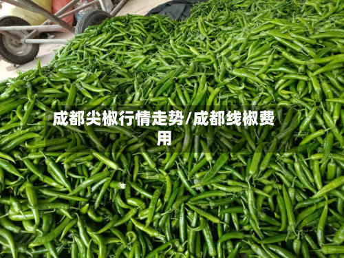 成都尖椒行情走势/成都线椒费用