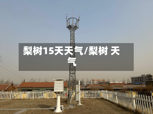 梨树15天天气/梨树 天气