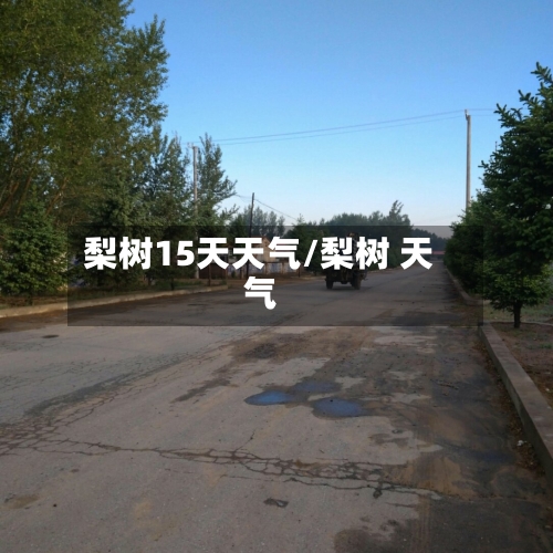 梨树15天天气/梨树 天气