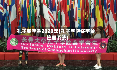 孔子奖学金2020年(孔子学院奖学金管理系统)