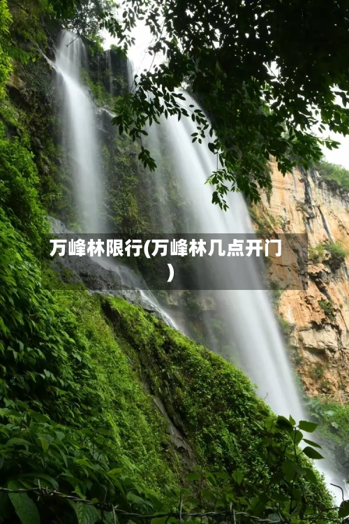 万峰林限行(万峰林几点开门)