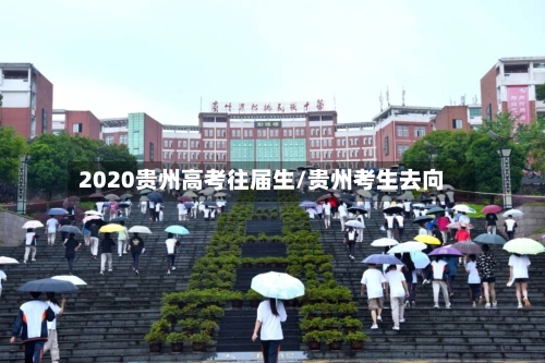2020贵州高考往届生/贵州考生去向