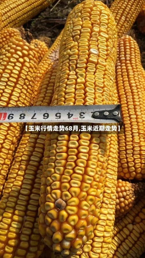 【玉米行情走势68月,玉米近期走势】