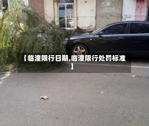 【临潼限行日期,临潼限行处罚标准】