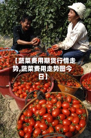 【蔬菜费用期货行情走势,蔬菜费用走势图今日】