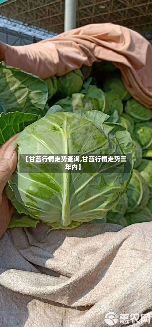 【甘蓝行情走势查询,甘蓝行情走势三年内】