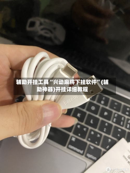 辅助开挂工具“兴动麻将下挂软件”(辅助神器)开挂详细教程