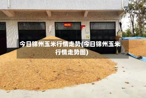 今日锦州玉米行情走势(今日锦州玉米行情走势图)