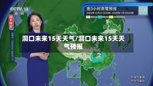 洞口未来15天天气/洞口未来15天天气预报