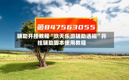 辅助开挂教程“玖天乐游辅助透视”开挂辅助脚本使用教程