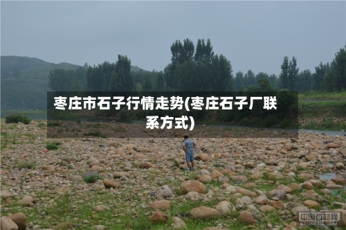 枣庄市石子行情走势(枣庄石子厂联系方式)