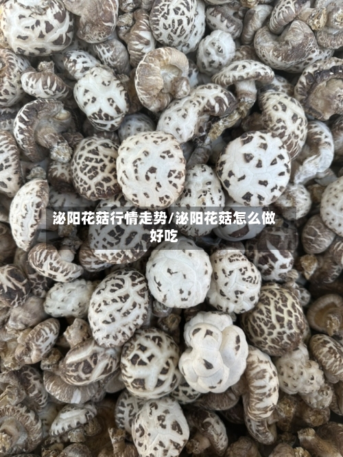 泌阳花菇行情走势/泌阳花菇怎么做好吃